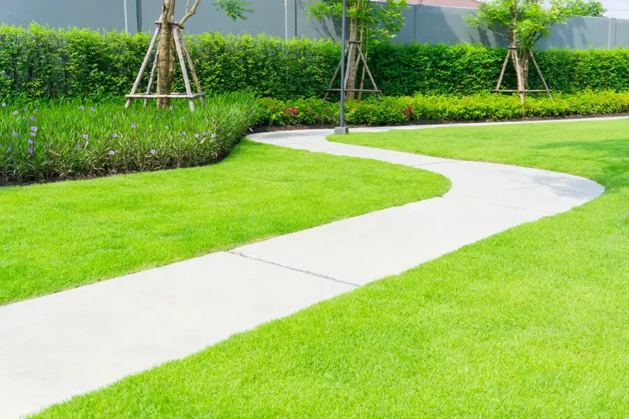 Common Causes Of Damage Requiring Concrete Sidewalk Repair Modesto CA