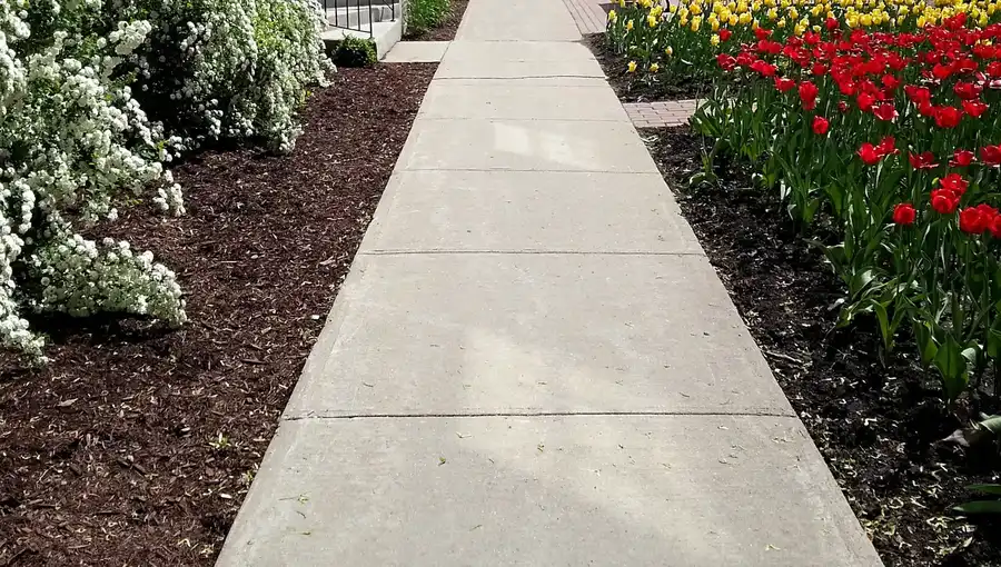 Key Benefits Of Professional Concrete Sidewalk Repair Services in Modesto CA